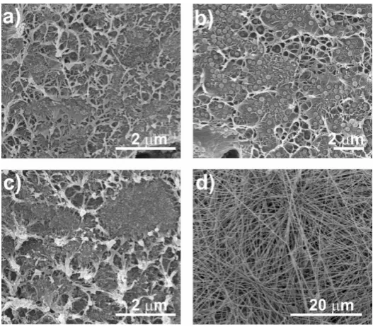 Figure 3a and 3c show the differences in composite morphology due to the crystallization 