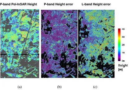 Figure 7: (a) Height map derived from P-band Pol-InSAR for the Remningstorp test 