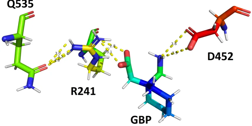 Figure 6. A GBP-induced structural axis (Q535-R241-GBP-D452) inside the complex structure of GBPand α2δ-1