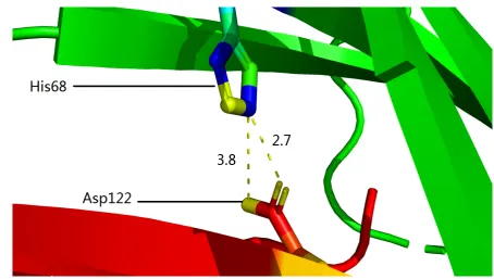 Figure 5. The structurally identiﬁed inter-molecular side chain salt bridges between His68 of PD-1