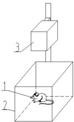 Figure 1. A minimalist sketch of the experimental setting for LASV recording. In this ﬁgure, labels1, 2 and 3 represent the C57BL/6 mouse, the box and the position of the video-recording camera,respectively.