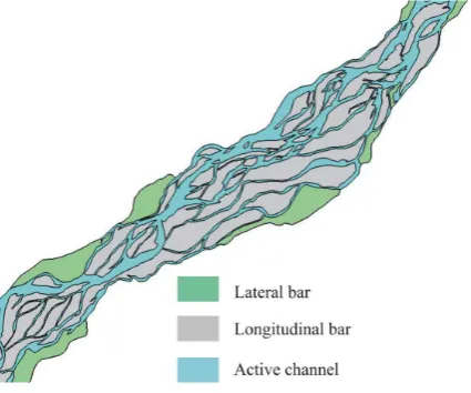 Figure 1. Portion of the vector map showing the limits of the bankfull channel and of longitudinal and lateral bars, which is the input map for the calculation of morphome-tric parameters