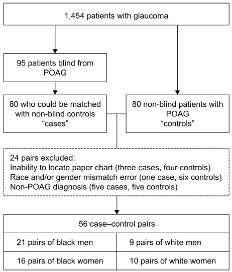Figure 1 Flowchart of study design.Notes: From the dataset of 1,454 patients with glaucoma, 80 of the 95 patients who were blind from POag could be matched (by gender, race, and age within 1 year) with patients with POag who were not blind