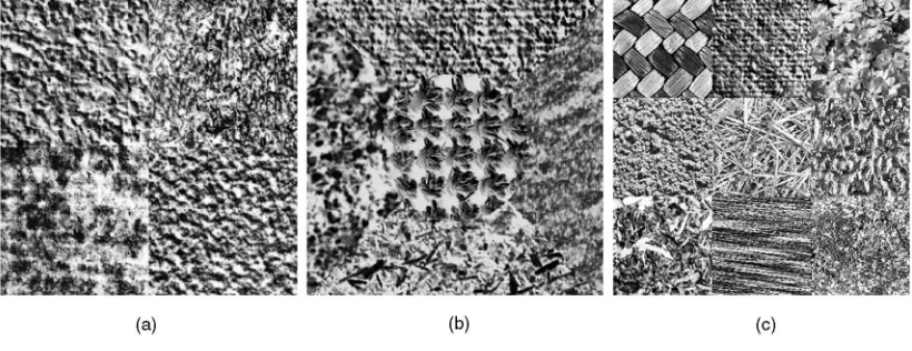 Fig. 4. Multitexture images used in experiments.