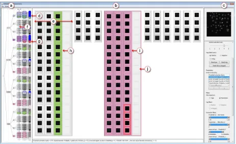 Fig. 4. Visualization of parameter space for image analysis. (a) The overview shows sampled parameter values as a clustering hierarchy