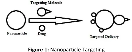 Figure 1: Nanoparticle Targeting 