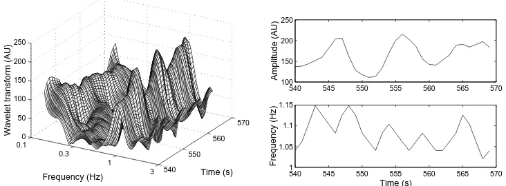 Fig. 2. A segment of the wavelet transform of the blood ﬂow signal in the time-fre-