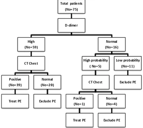 Figure 1. The diagnostic outcome for the subjects included in this study. 