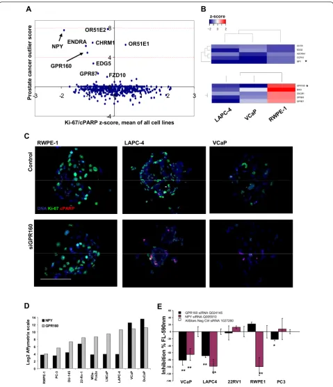 Figure 5 Validation of CSMA screening resultsLog2 Affymetrix scale. (E) An enzymatic cell viability assay was used to verify the Ki-67/cPARP based growth inhibitory effect of GPR160 and NPYclinical gene expression levels of GPCRs in clinical prostate cance