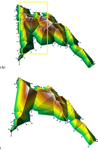 Figure 9. Generation of an artificial valley in the shaded region of a surface network.