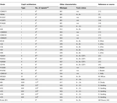 Table 1. CwpV characteristics of C. difficile strains.
