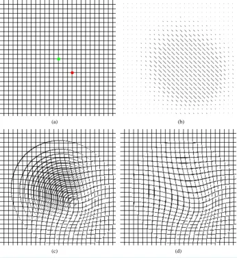 Figure 1, we show a force field which moving the pixel (130, 130) to the pixel (160, 160), and the correspond-ing deformed result