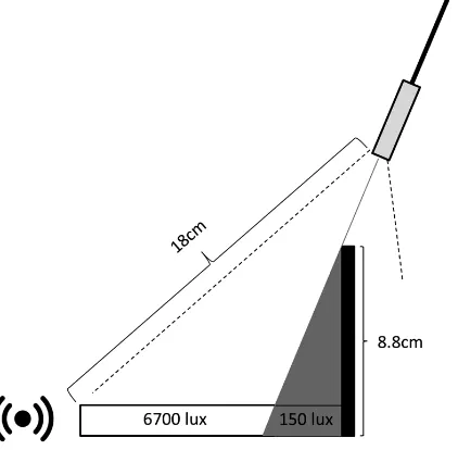 Figure 1. Bright-dark experimental chamber. Fiber-optic illuminator was used as the light source and positioned as illustrated