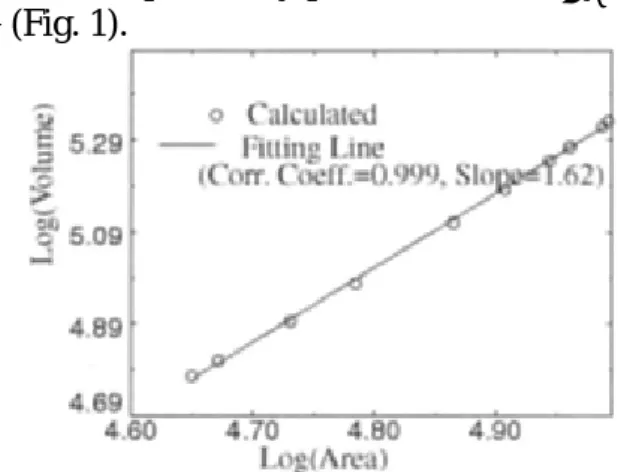 Fig. 1. Log-log correlation between  