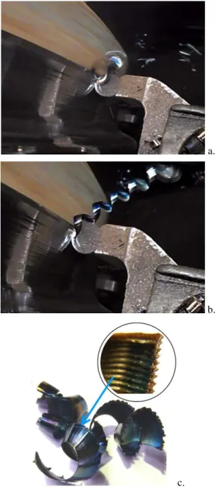 Fig. 3.  Sample of chips 