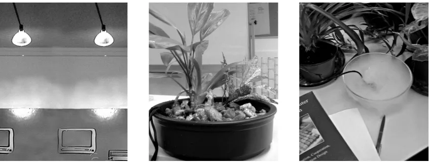 Figure 2: In our office environment, non-computer devices such as lamps, a table fountain and ahumidifier are integrated as ambient media for display of web-based activity.