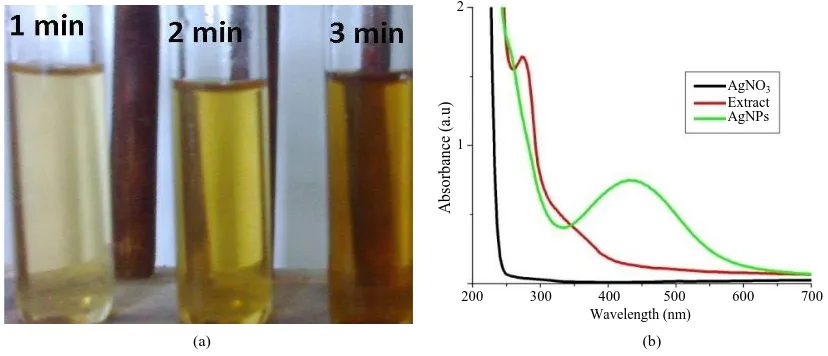 Figure 2. Effect of light wavelength on AgNPs synthesis: a) Reaction tubes wrapped with colored cellophane papers, b) UV-Vis spectra of AgNPs suspensions at different wavelengths