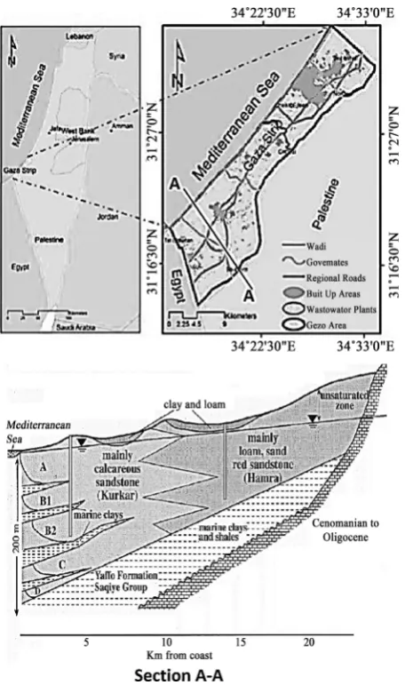Figure 1. Location map of Gaza strip and a typical geological cross section (section A-A) for coastal aquifer [28] [29]