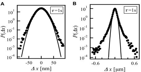 Fig. 3. (A) Ensemble-averaged van Hove correlation function of probe particles in cross-linked actin networks without myosin (solid circles)