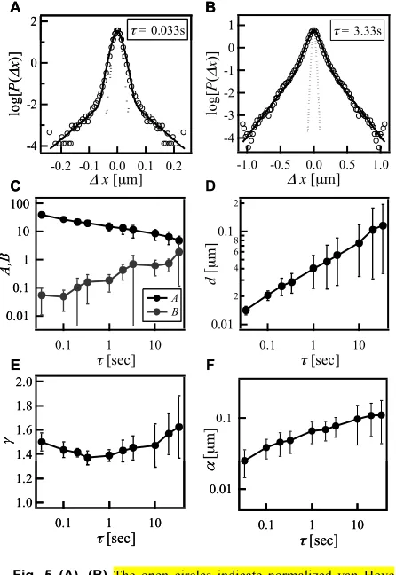 Fig. 5 (A), (B) The open circles indicate normalized van Hove correlation functions for probe particles in an active gel at τ  = 0.033s and 3.33s, resp