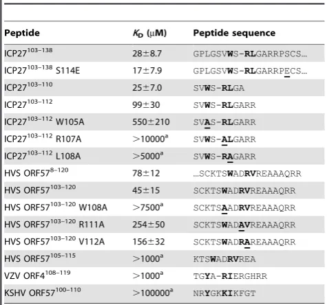 Figure 5. Modelling of complex between human Aly and HSV-ICP27. (A) Sequence alignment of RRM domains of murine REF2-I (mREF2-I:CAB76384) used in this study, murine Aly (mALY: AAC53117) and human Aly (hALY: AAD09608)