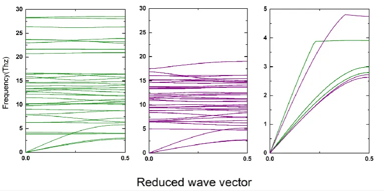 Figure 2. The phonon spectrum calculated along the wave vectors [0, 0, 0] to [0, 0, 0.5] with our potential mode (in green color) and with DFT method (in purple color)