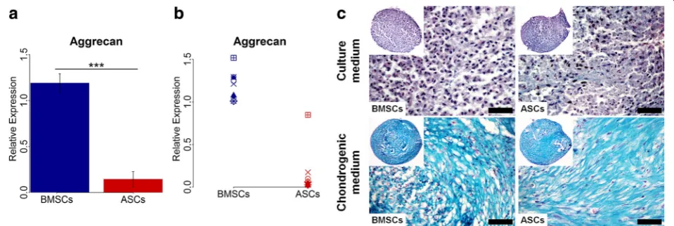 Fig. 5 Chondrogenic gene expression and cartilaginous matrix formation in BMSCs and ASCs