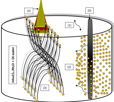 Figure 2: Gold atoms dissociating from the gold precursor for uplifting to solution surface under their 
