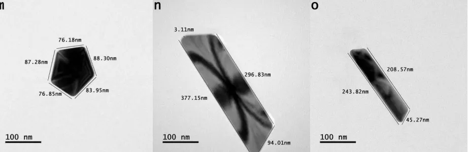 Figure 5:  (a-o) bright field transmission microscope images of standalone triangle-, hexagon-, isosceles 
