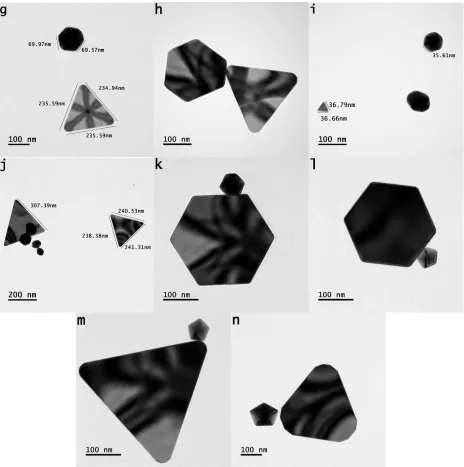 Figure 6: (a-n) bright field transmission microscope images of various geometric anisotropic particles; 
