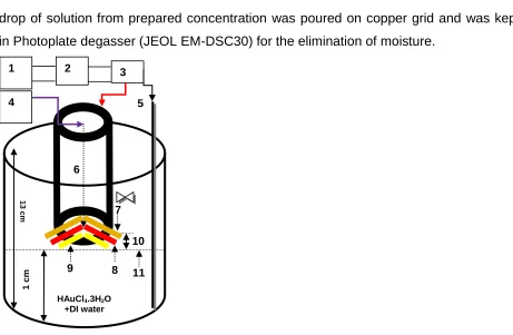 Figure 1: Layout of pulse-based electronphoton-solution interface process; (1) power supply, (2) pulse 