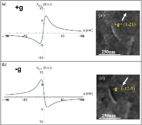 Figure 2. IBSE profiles modeled, for a screw dislocation parallel to the surface, with a deviation parameter s=0 for the diffractions (a) +g and (b) –g with their corresponding experimental ECC micrographs (a’) and (b’)