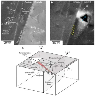 Figure 3. ROI2, where the surface plane is near �4 5 7� for the twin A (left) and near �0 1 3� for grain 