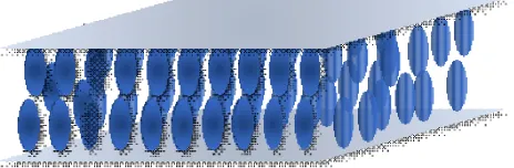 Figure 1. Homeotropic alignment in nematic LC cell. 