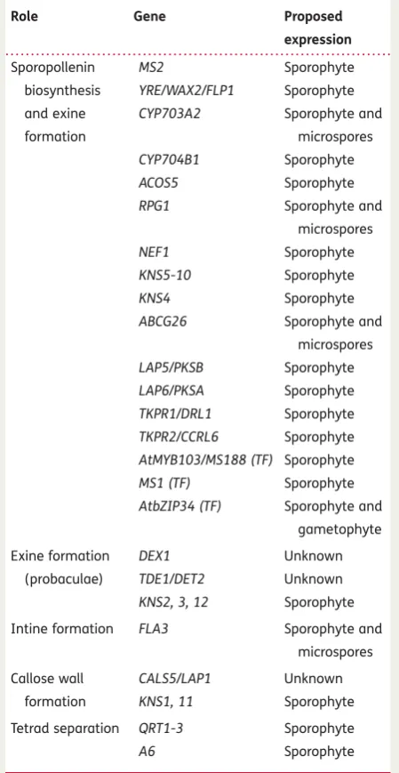 Table 1 Arabidopsis genes implicated in pollen walldevelopment.