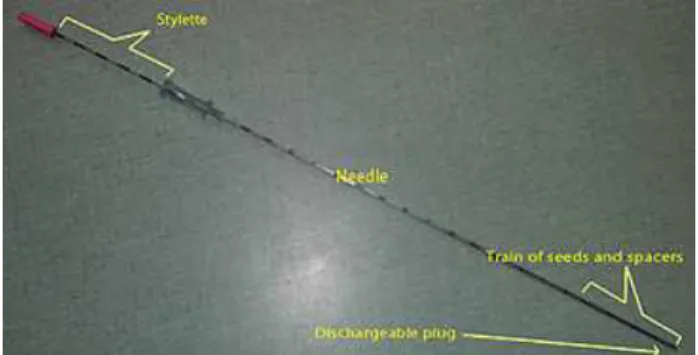 Fig. 1. Brachytherapy needle example  The robotic assisted protocol (Fig. 2) for the  insertion  procedure  of  multiple  brachytherapy  needles  inside  the  target  area  which  is  represented  by  an  interest  zone  inside  the  patient’s tumor, requi