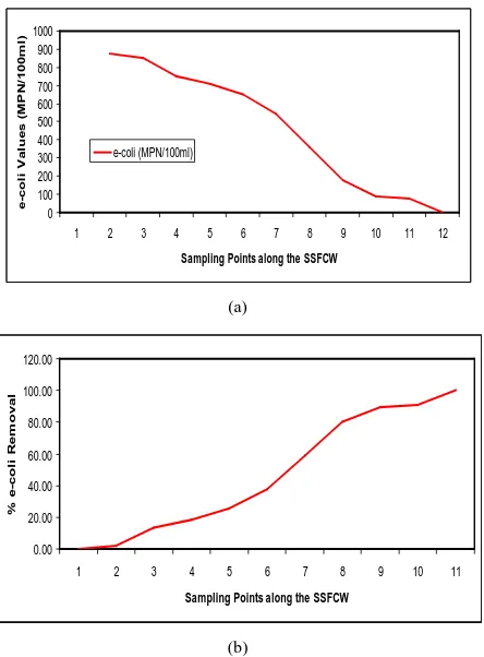 Figure 14. (a) E-coli values at Sampling Points of the SSFCW; (b) % E-coli Removal at Sampling Points of the SSFCW
