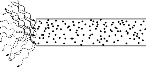 FIG. 1. Sketch of a waveguide containing a randomly scatteringmedium and illuminated by a monochromatic plane wave