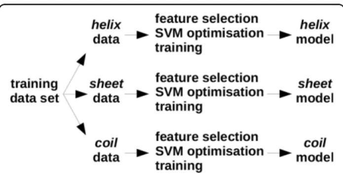 Figure 1 illustrates the design of EASE-SS, however, the same applies to EASE-ASA. First, we partitioned the  train-ing data accordtrain-ing to the secondary structure (accessible surface area) of the mutation site