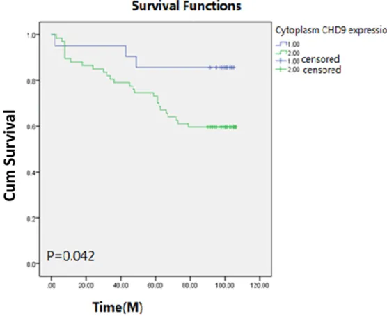 Table 2. The relationship between CHD9 expression and the ccRCC patients’ clinical index