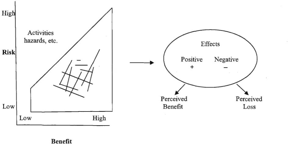 Figure 2.1: Hypothesized Relationship Between Risk and Benefit Source: Finucane, Alhakami, Slovic and Johnson 2000, p