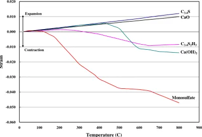 Figure 5. Thermal strains of phases in cement paste used in model