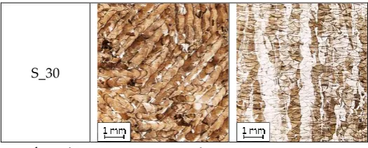Figure 6. Microstructure of the element in the core and border outline areas 