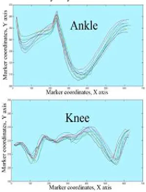 Fig. 3. Temporal evolution of the Ankle marker:  two  different subjects, 10 different recording sessions 