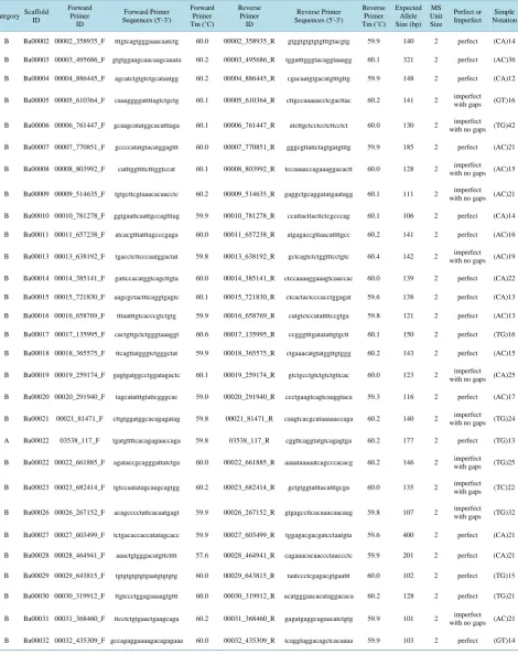 Table S1. The information of PCR primers used in this study. These primers are categorized as follows