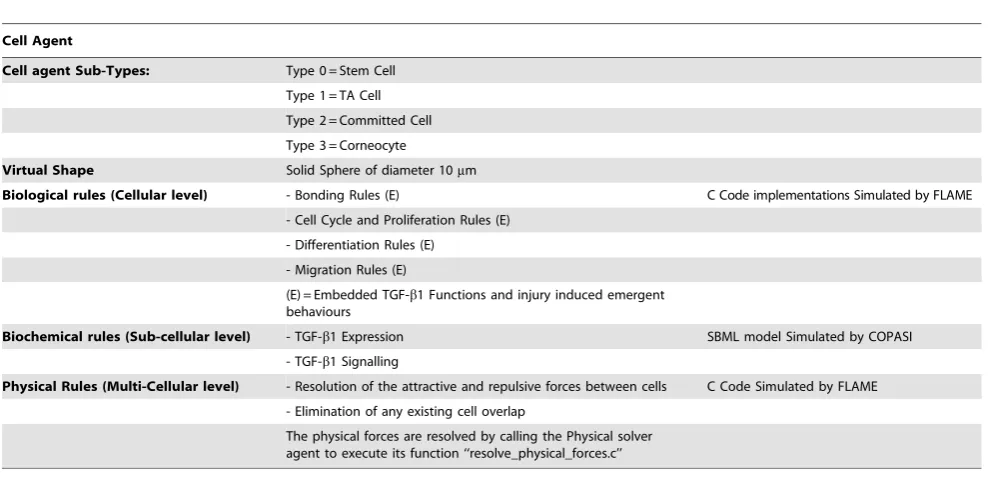 Table 1. The Cell agent’s functions and properties.