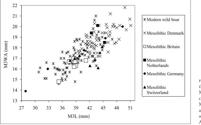 figure 14. Size of lower 