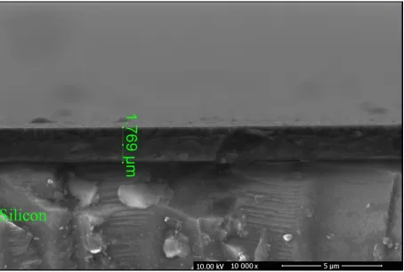 Figure 4. SEM images of TiN/TiCN/TiC coatings; (a) CP-Ti substrate, and (b) Ti6Al4V substrate 