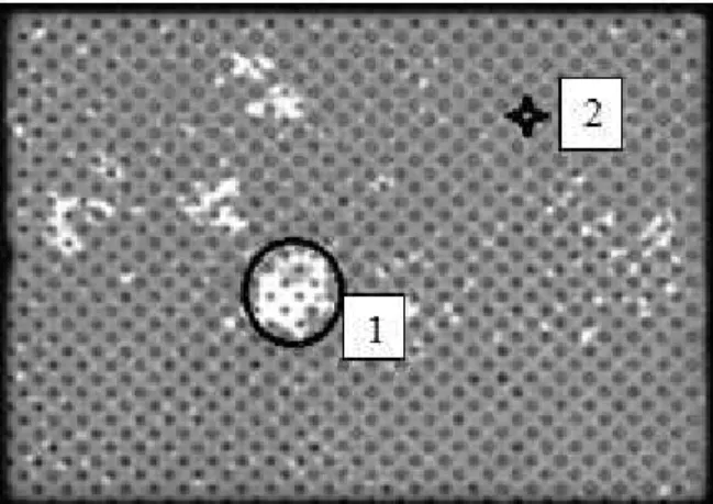 Fig. 2. The ultrasound scan at interface Ni/Al (C-scan):  1-bump and 2-brazed joint flawless