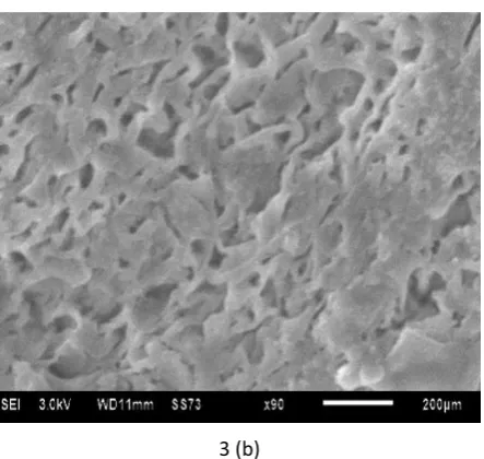 Figure 3: SEM image of RS5 (a) Before dissolution, (b) After dissolution 